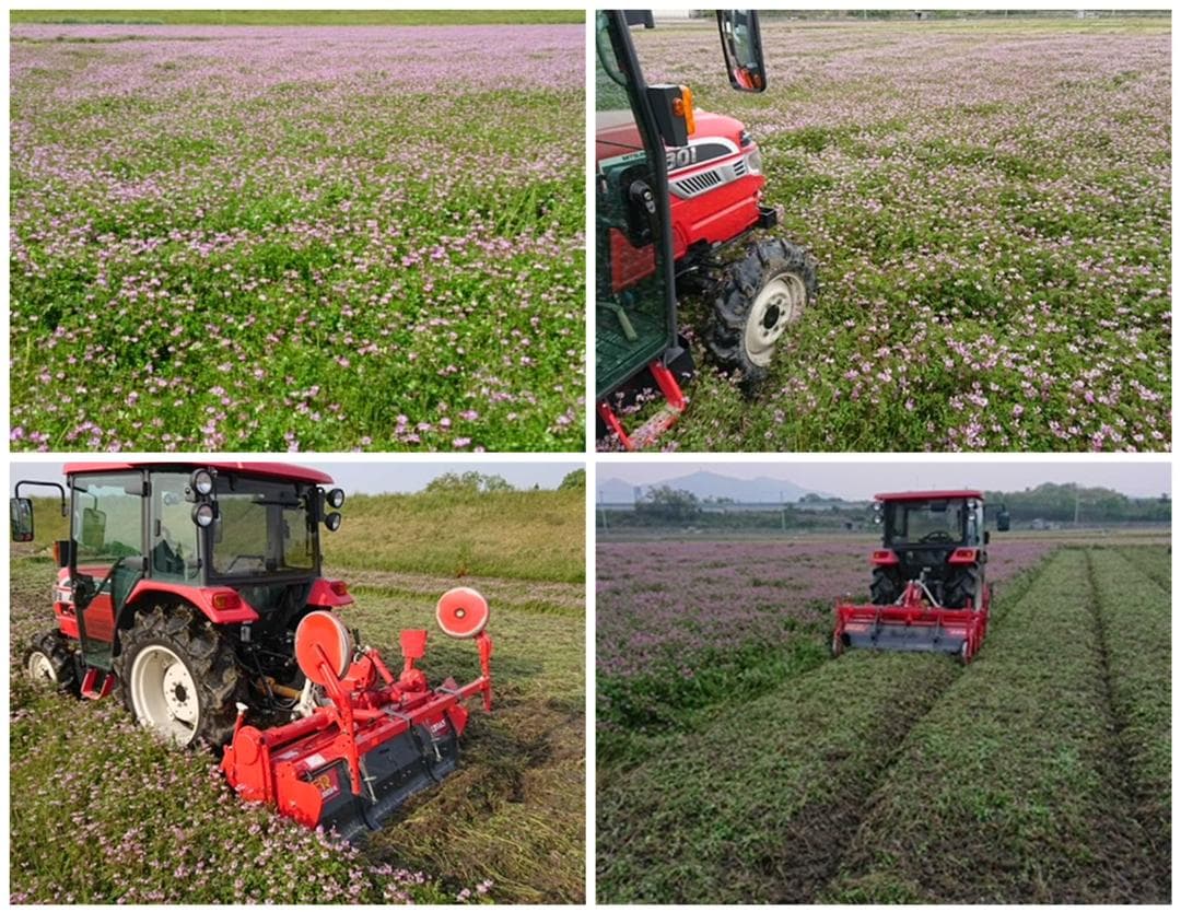 新米　兵庫播州れんげ米　きぬむすめ　７年産　精米　極1等米３0Kg　農直送料無料