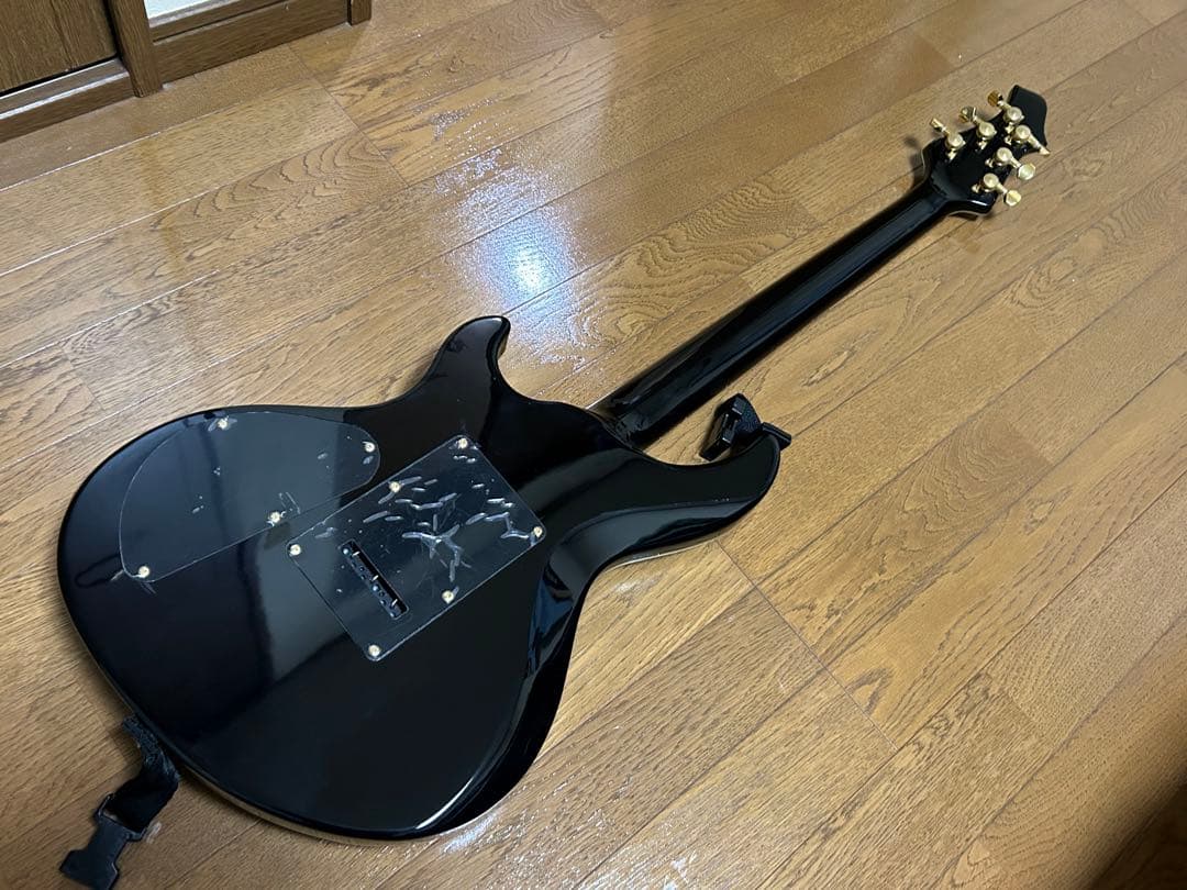 【〜1/11限定値下げ】Inyen Vina フルオーダーギター