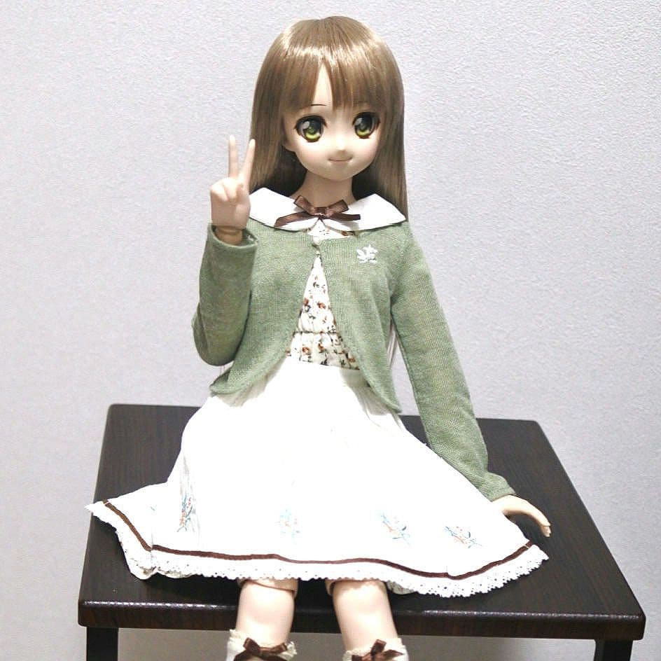 ドルフィードリーム　ドール　＋衣装20点以上、お出かけバッグ他