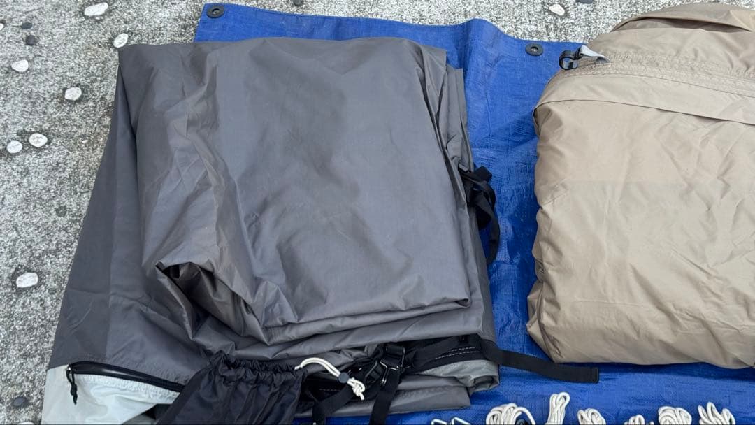 Sabbatical サバティカル　ARNICA アルニカ