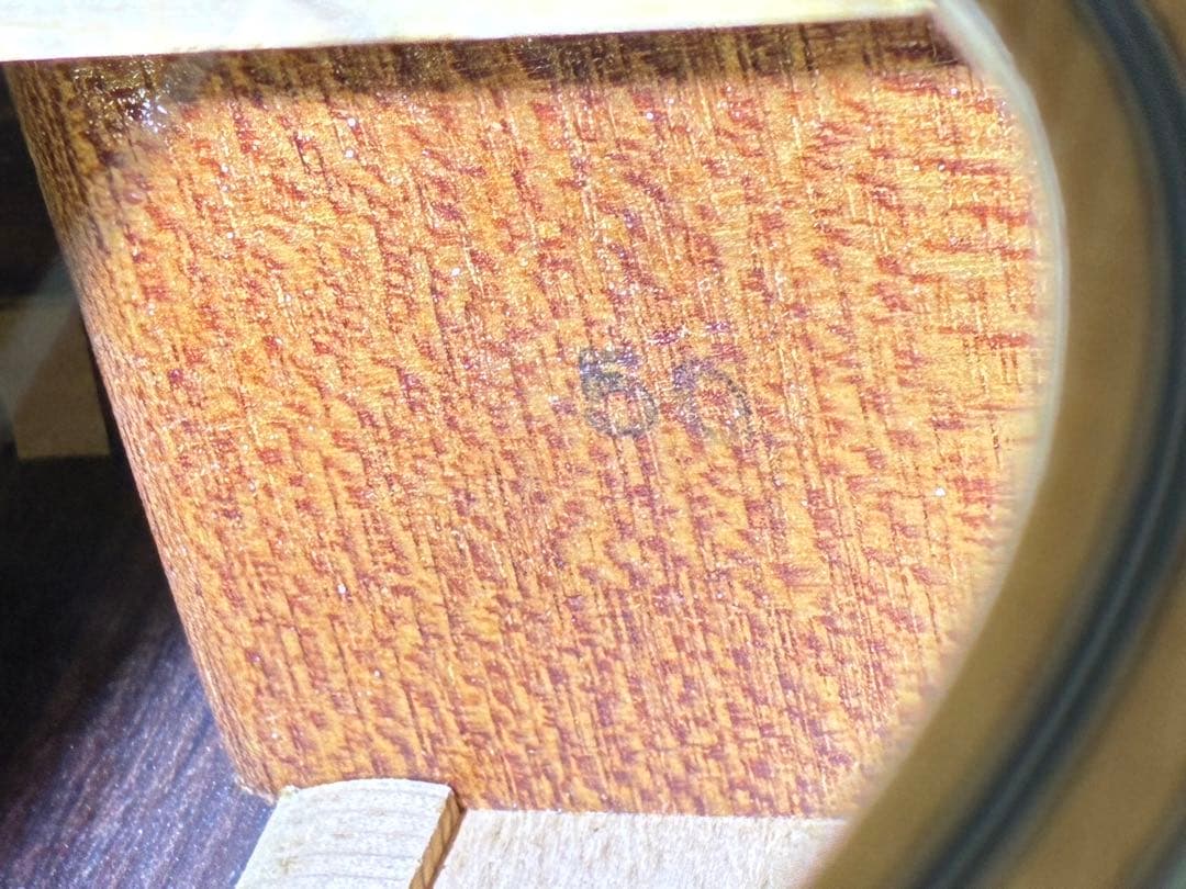 Morris W-50 アコースティックギター