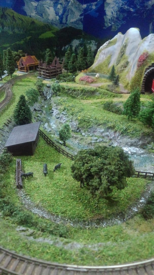 追加制作致しました!❗新品、鉄道模型✨丁寧制作、HG仕上げ‼️山岳✨スイス❗️