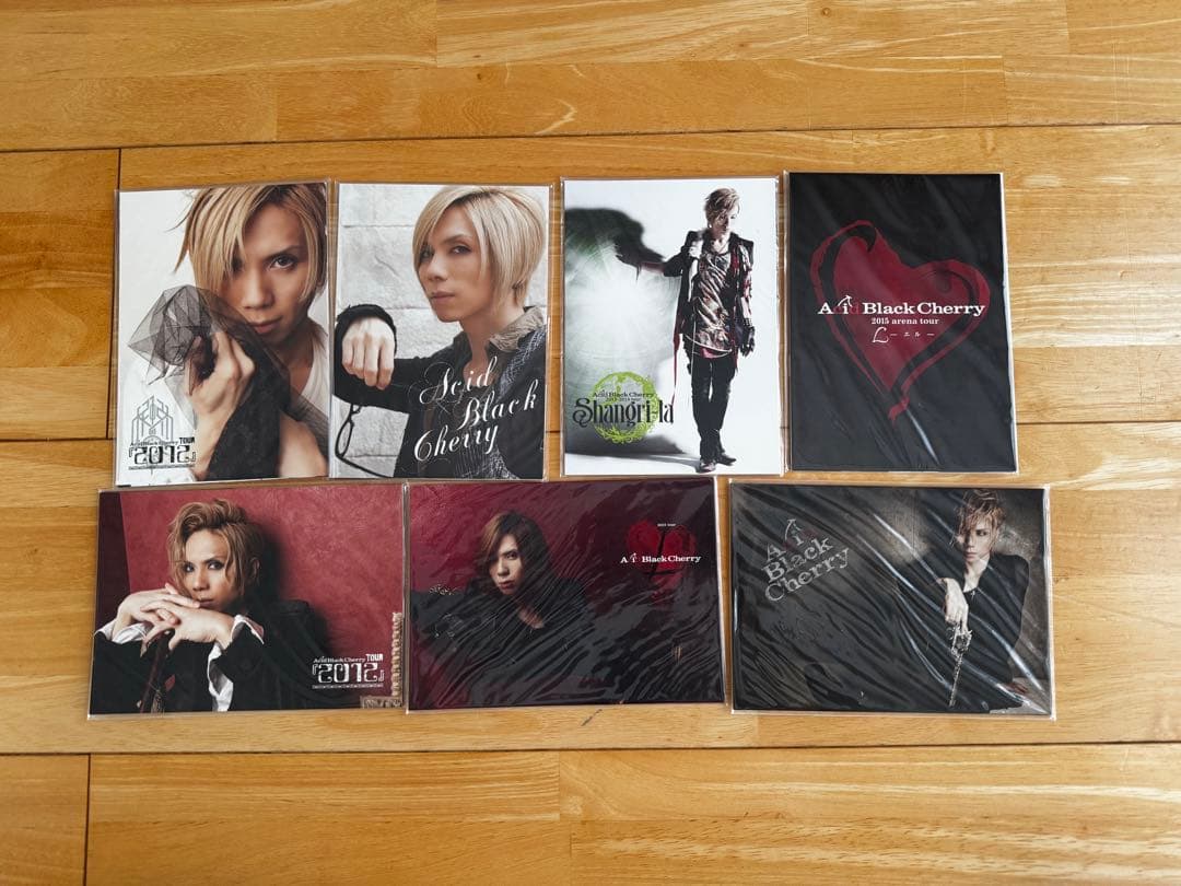 ①Acid Black Cherry ツアーグッズセット