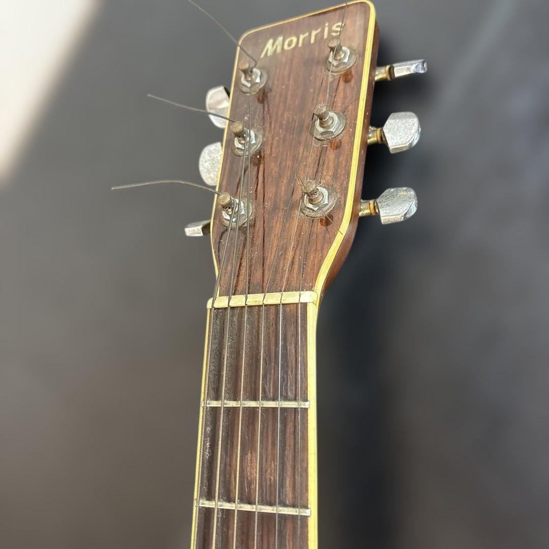 Morris アコースティックギター MD-515CCS
