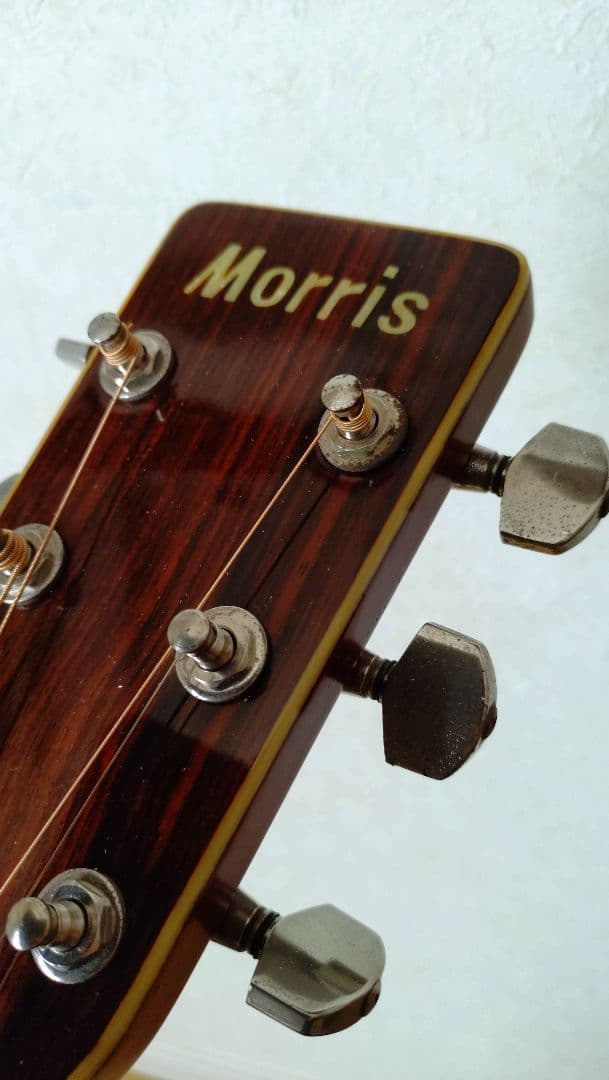 Morris W-30 モーリス アコースティックギター