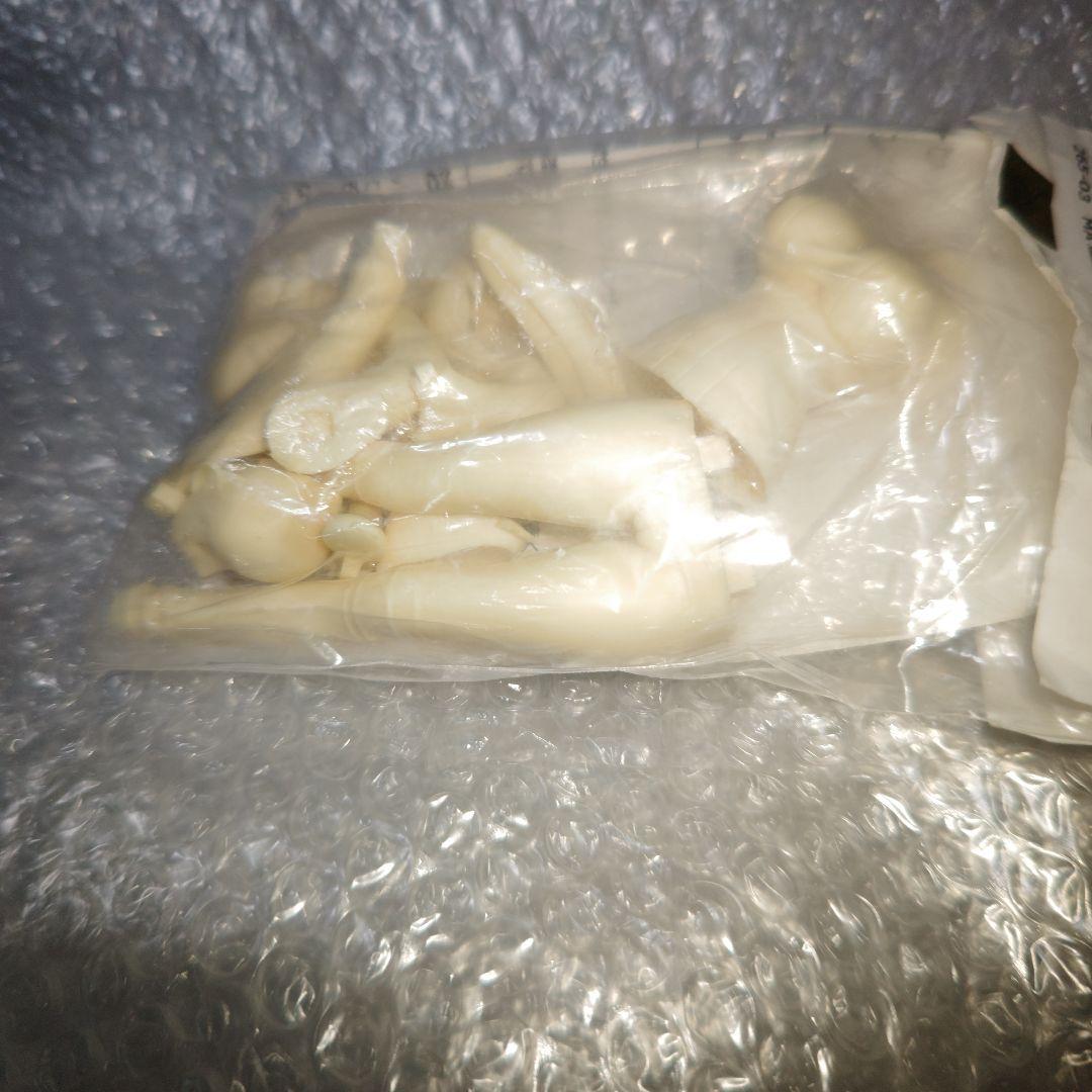 MA造型　ガンダムビルドファイターズ　イオリ・リン子　ガレージキット　未組立