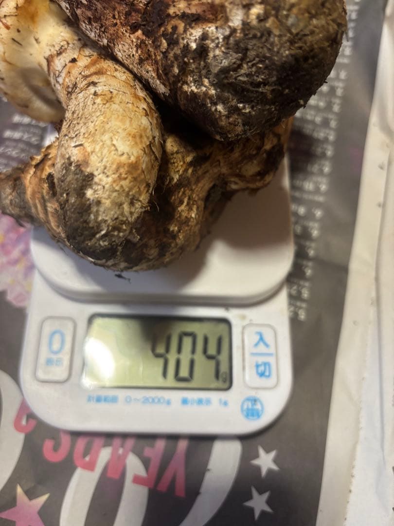 岩手県産松茸404g訳あり品