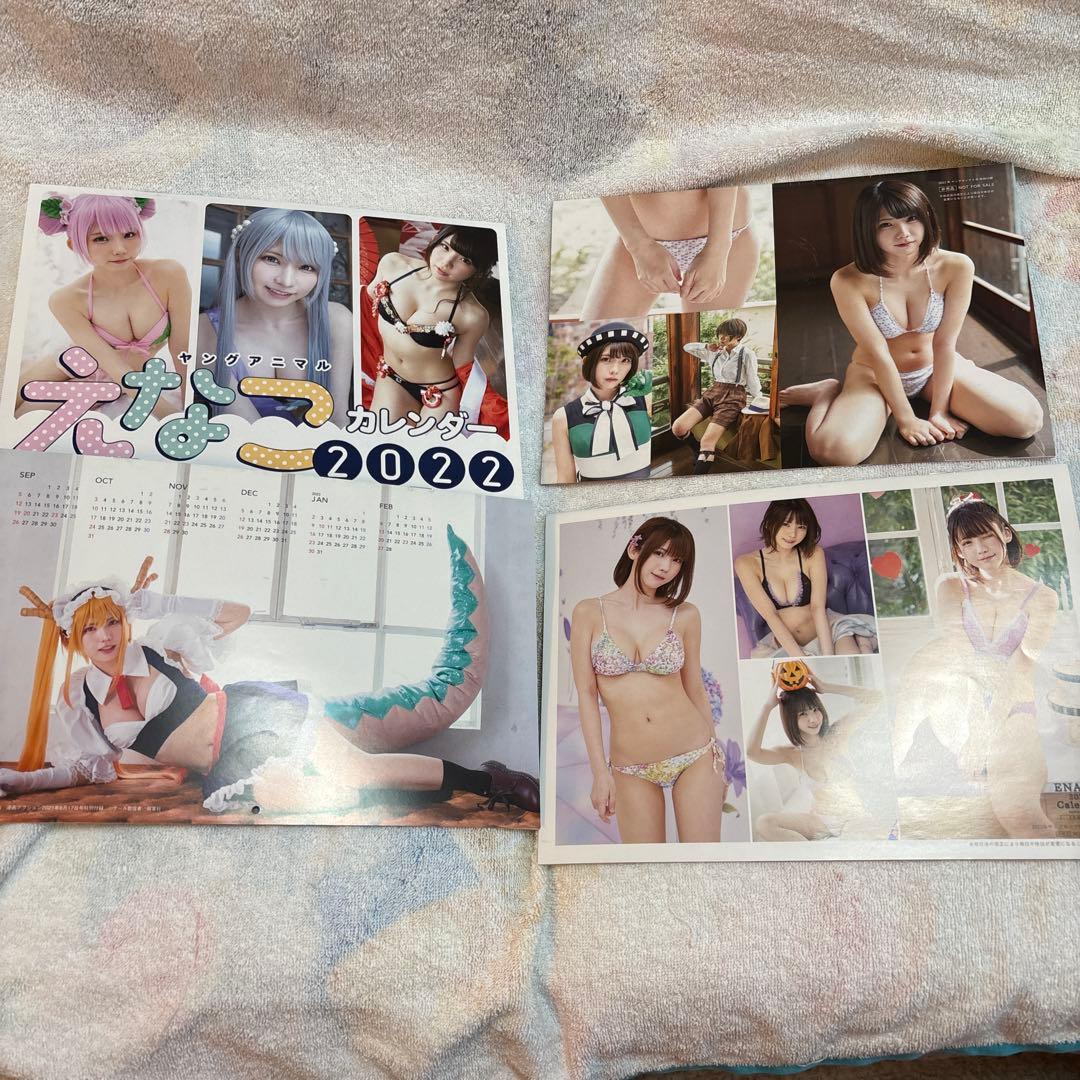 えなこ 大判ポスター、過去カレンダー等セット