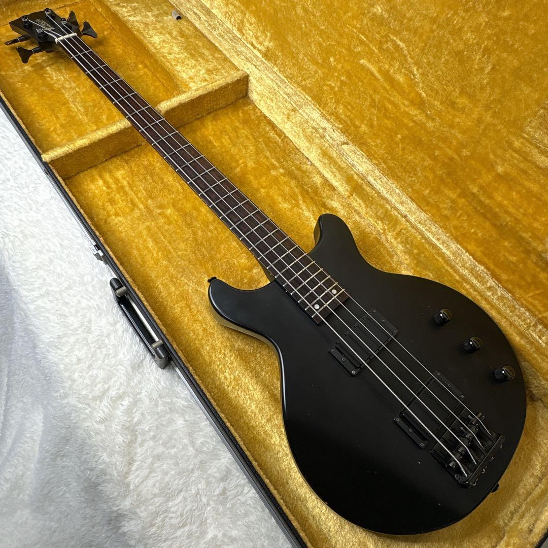 EDWARDS E-J-70TV LUNA SEA Jモデル