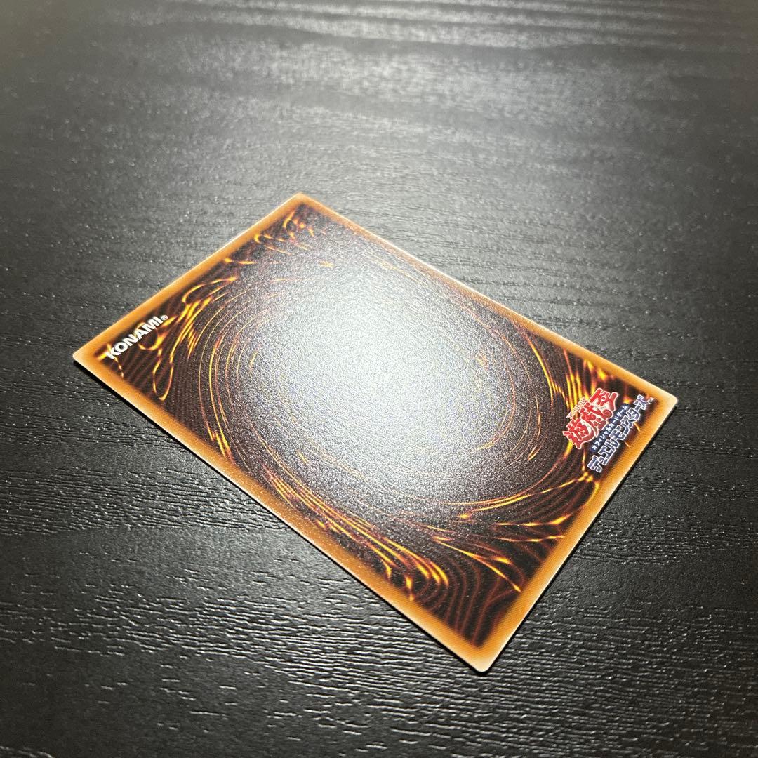 遊戯王　聖域を守護せし光の龍　エクストラシークレットレア1枚