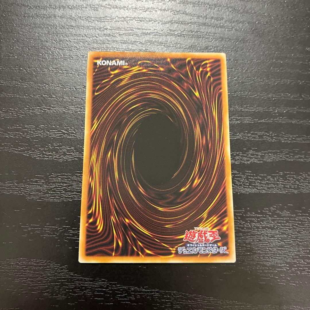 遊戯王　聖域を守護せし光の龍　エクストラシークレットレア1枚