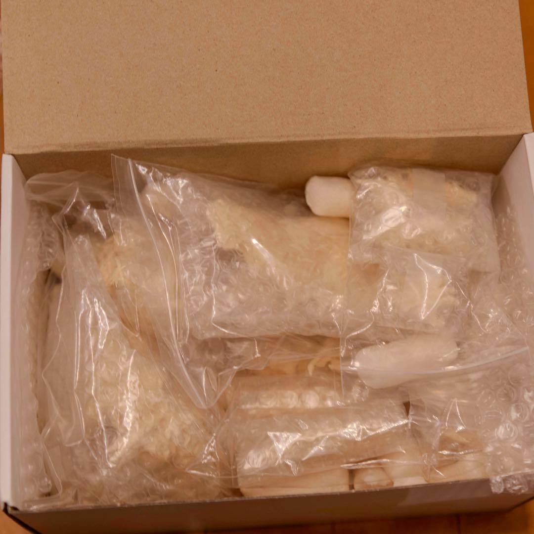 T's Facto モンスターX ゴジラ ファイナルウォーズ 2004 韮沢靖