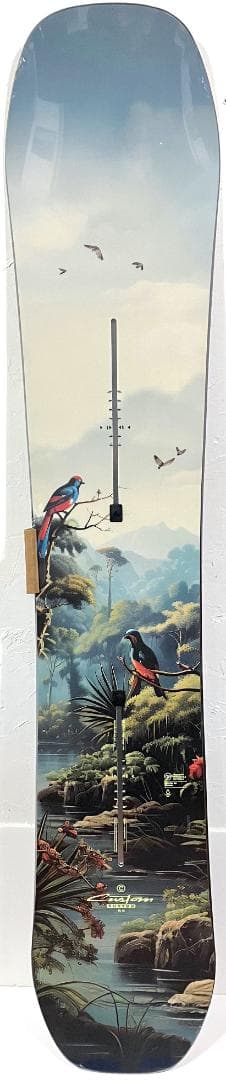 BURTON CUSTOM キャンバー Jungle 156cm 新品