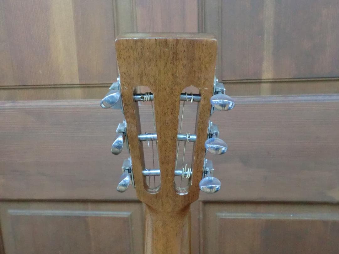 オール単板　Ayers CSR