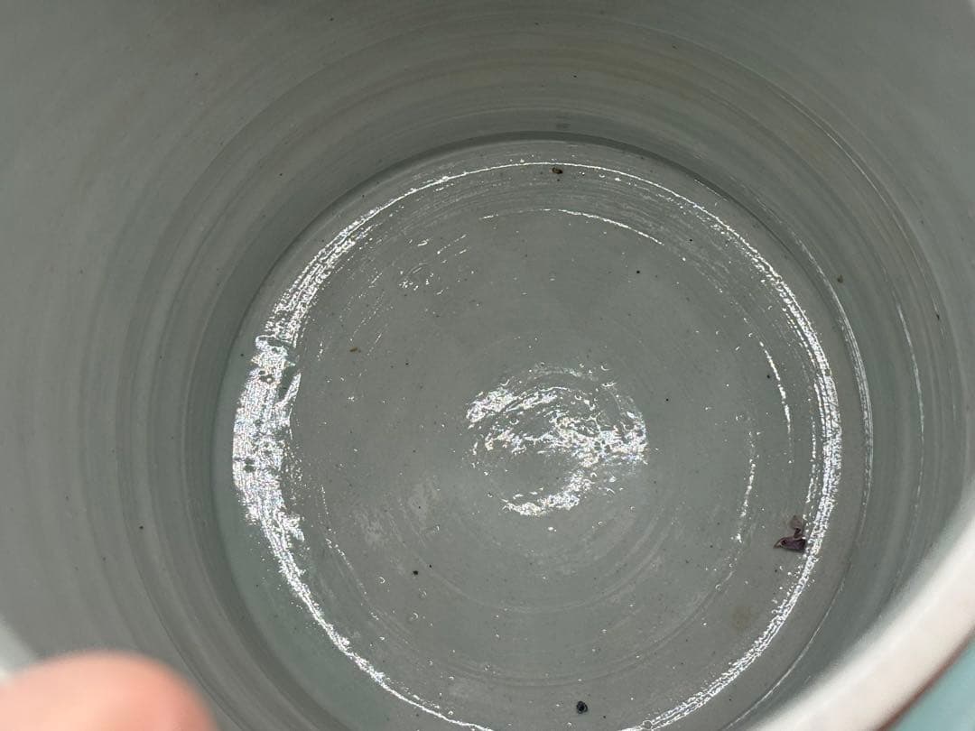 中国　清時代　粉彩　獅子摘み　花鳥紋大壺　送料込み251224