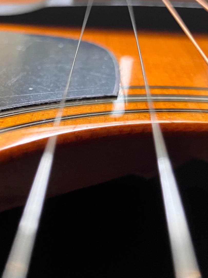 Morris MF-Y VYL アコースティックギター 中古