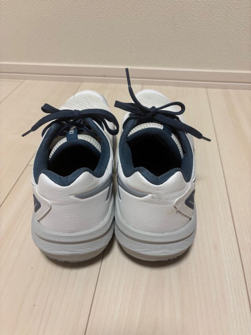 AISCS SKY ELITE FF 3 スカイエリート 27cm