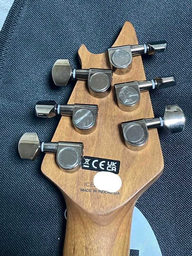 ギター EVH Wolfgang WG Standard Quilt Maple