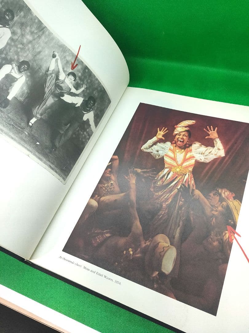 ジャン=ポール・グード「ジャングルフィーバー」 作品集