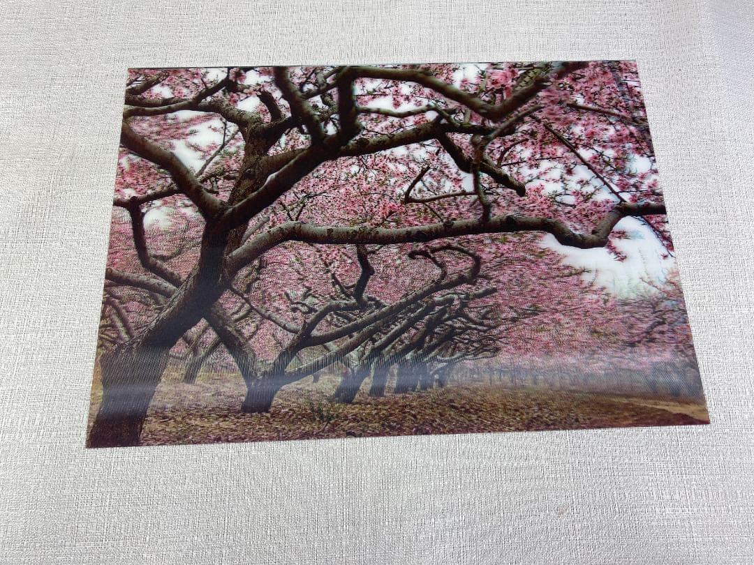 立体アート３点　額縁１点　虎 山の風景 桜風景　cc746