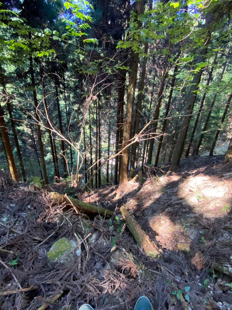 ハチミツ　日本蜜蜂の蜂蜜　奥山の奥のはちみつ　巣箱違い谷違いのハチミツ４種