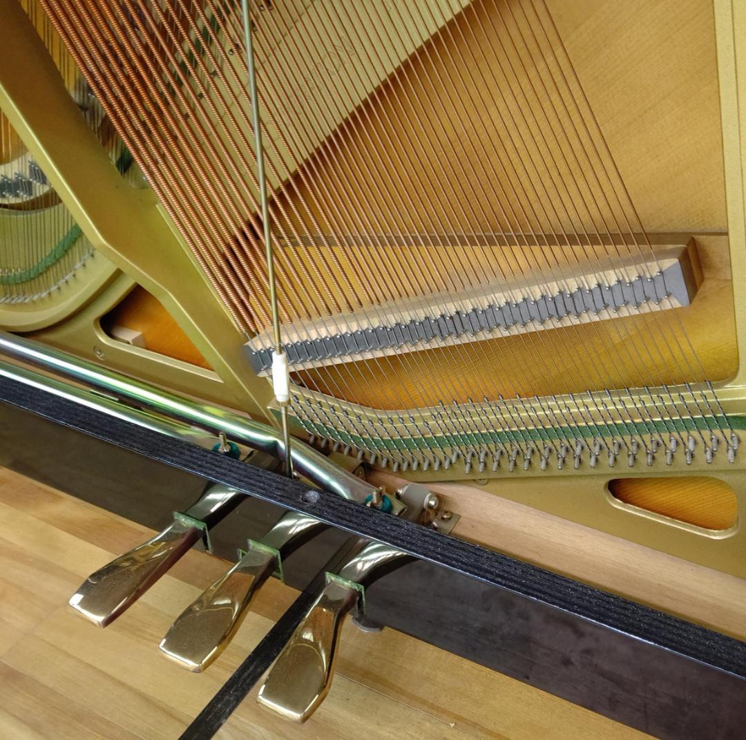 ヤマハ MC-301【美品・内部調整/外装研磨美装済】試弾歓迎！ YAMAHA