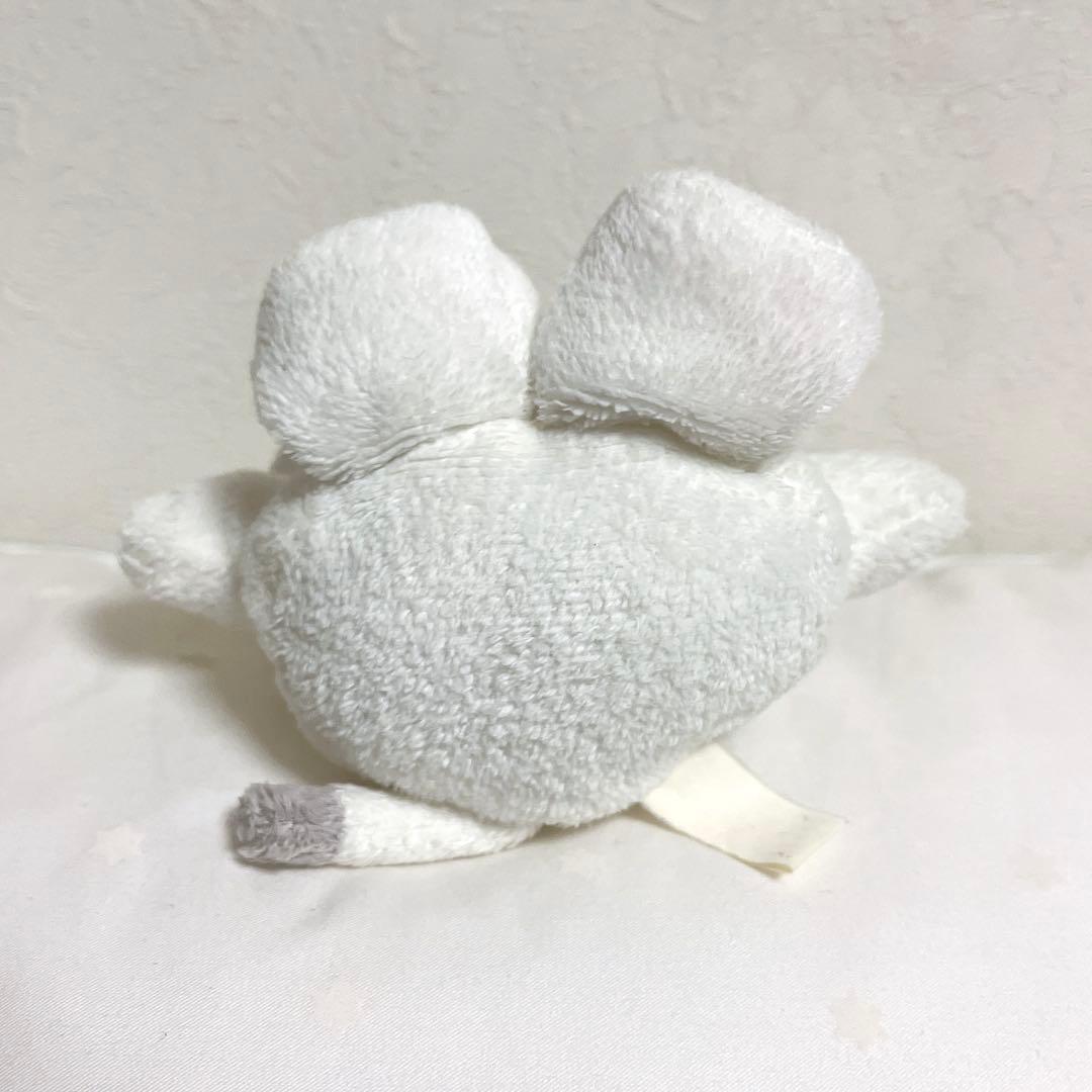 株式会社まつもと fricca フリッカ Doぱれっと︎ ホワイトタイガー