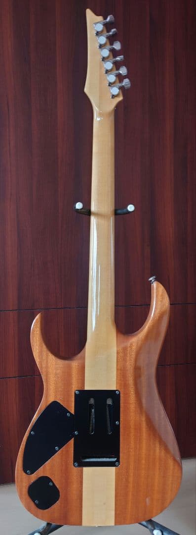 Ibanez RGT3170 ラッカー塗装　ステンレスフレット