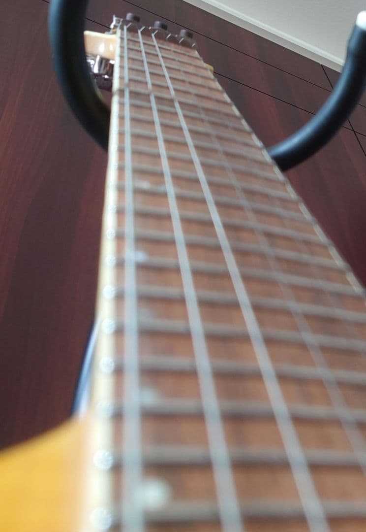 Ibanez RGT3170 ラッカー塗装　ステンレスフレット