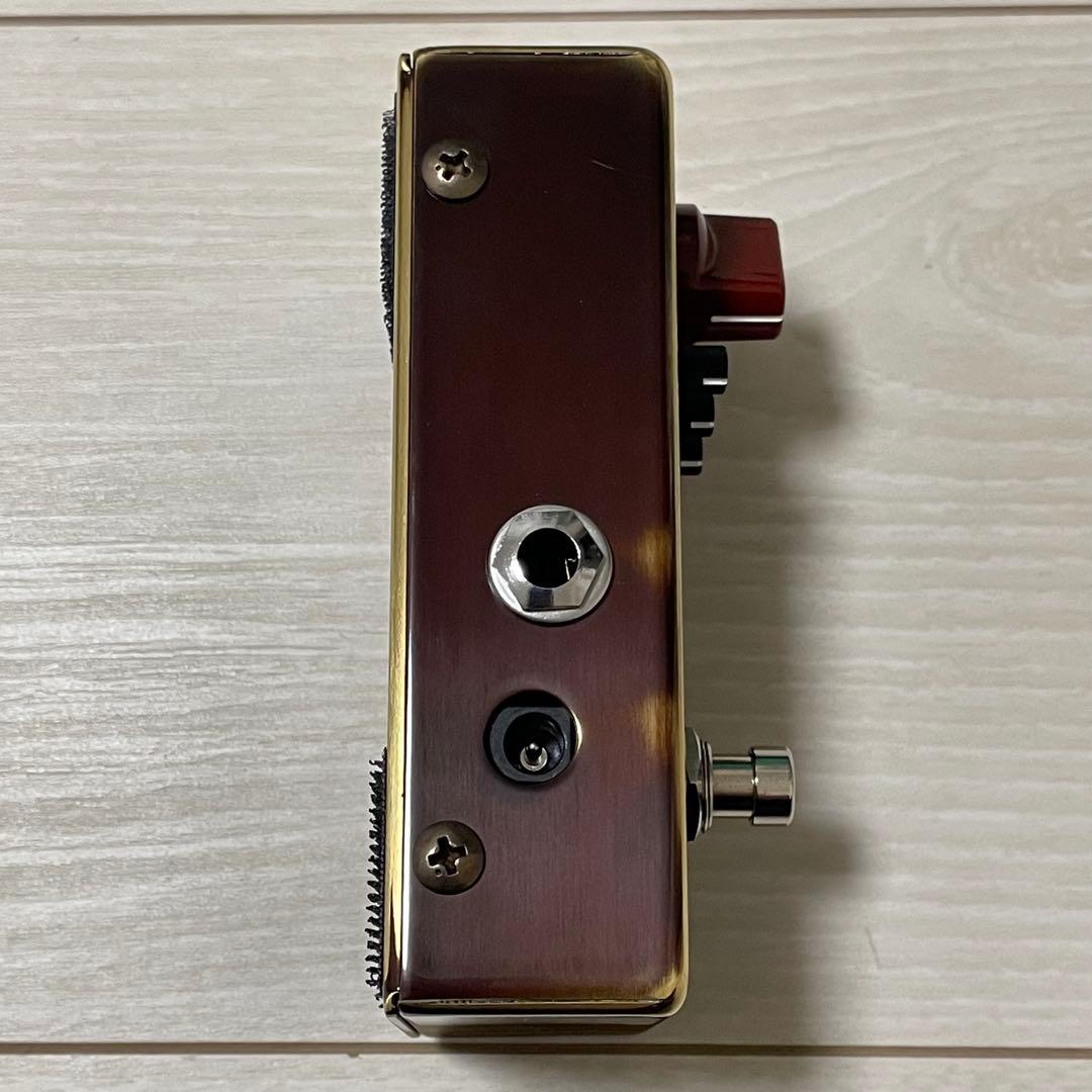 ギター VEMURAMU Budi-G