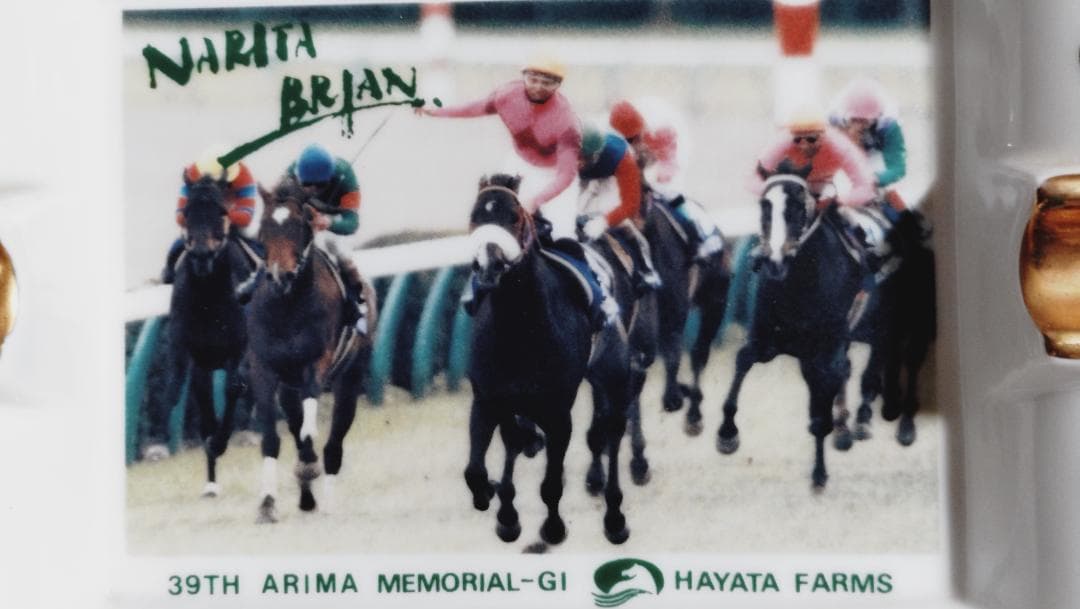 ナリタブライアン 陶器 早田牧場　有馬記念