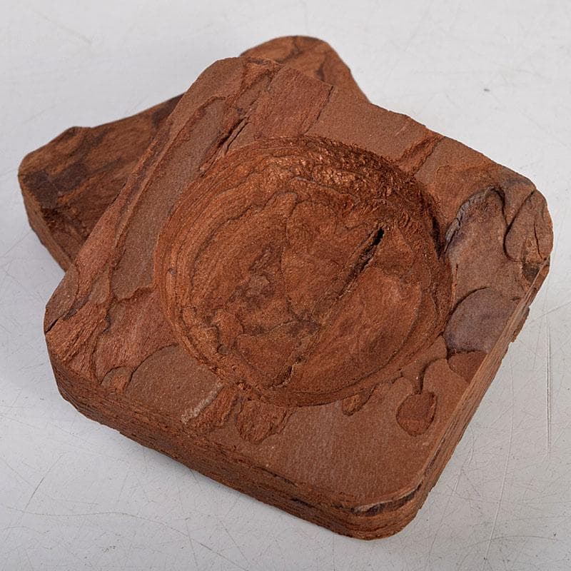 茶道具　松皮香合　表千家 十二代 宗左（惺斎）花押　共箱　V　8834