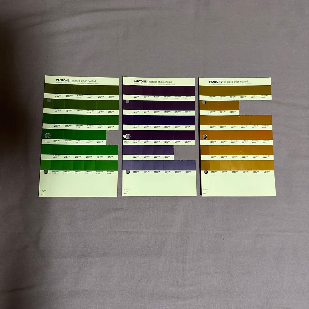 【早い者勝ち！】パントンメタリックチップスコート/正規品中古保管品