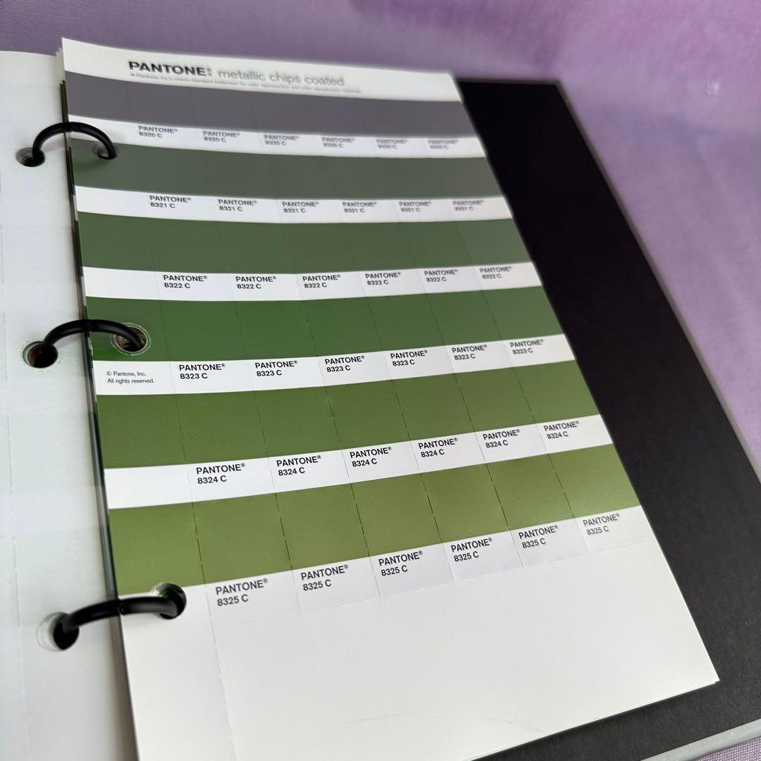 【早い者勝ち！】パントンメタリックチップスコート/正規品中古保管品