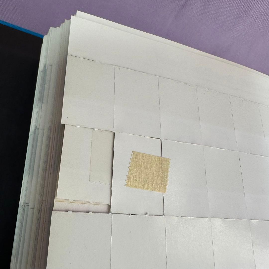 【早い者勝ち！】パントンメタリックチップスコート/正規品中古保管品