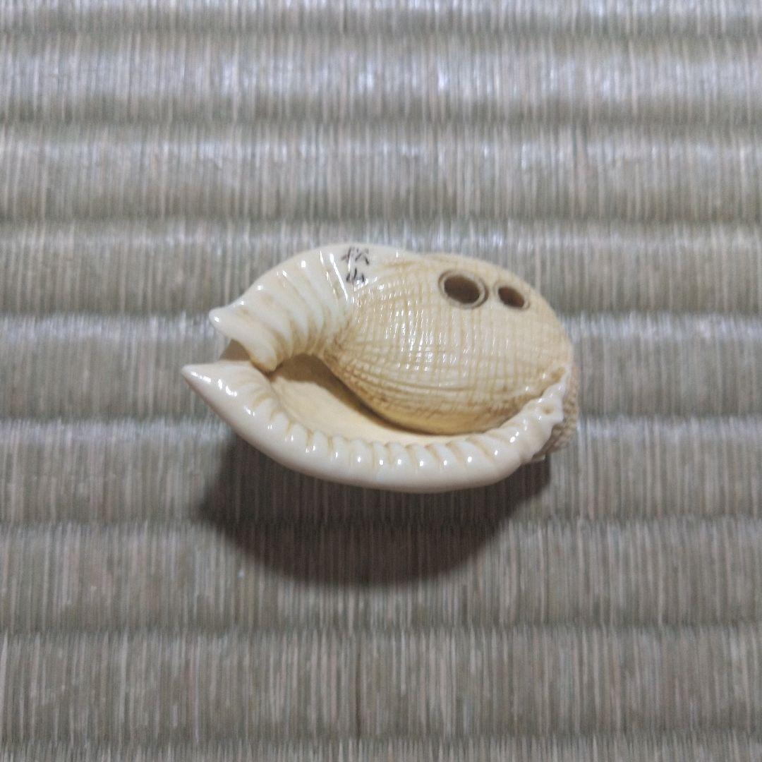 マンモス牙彫　根付　帯留　貝殻に蟻