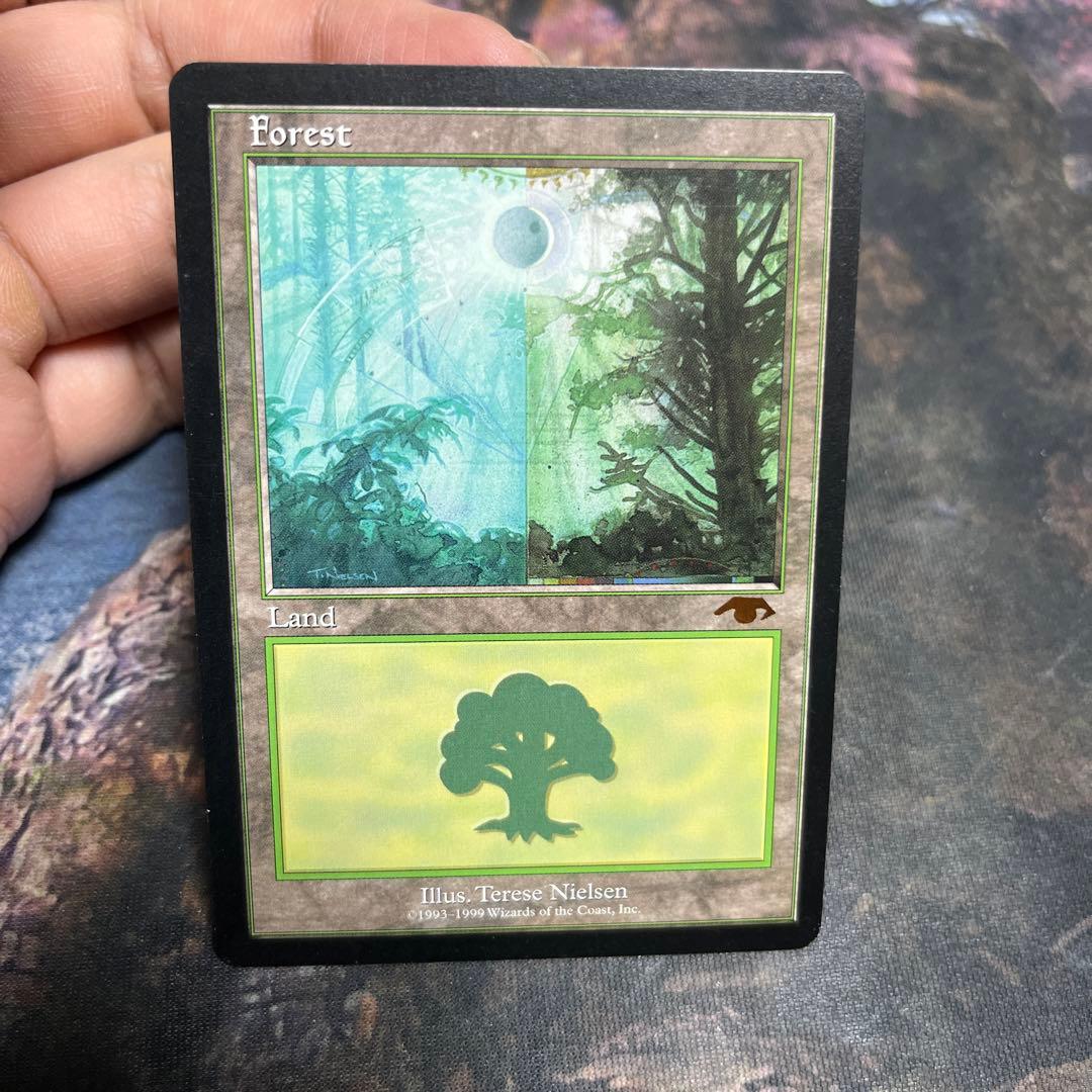 MTG グルランド　森　forest guru