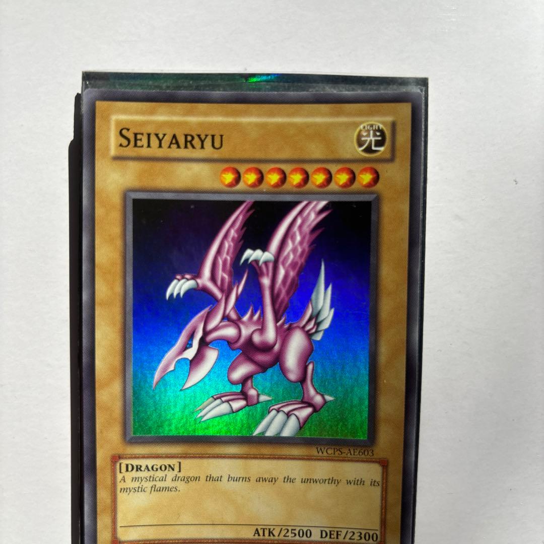 ホーリー・ナイト・ドラゴン 2006 WORLD CHAMPIONSHIP