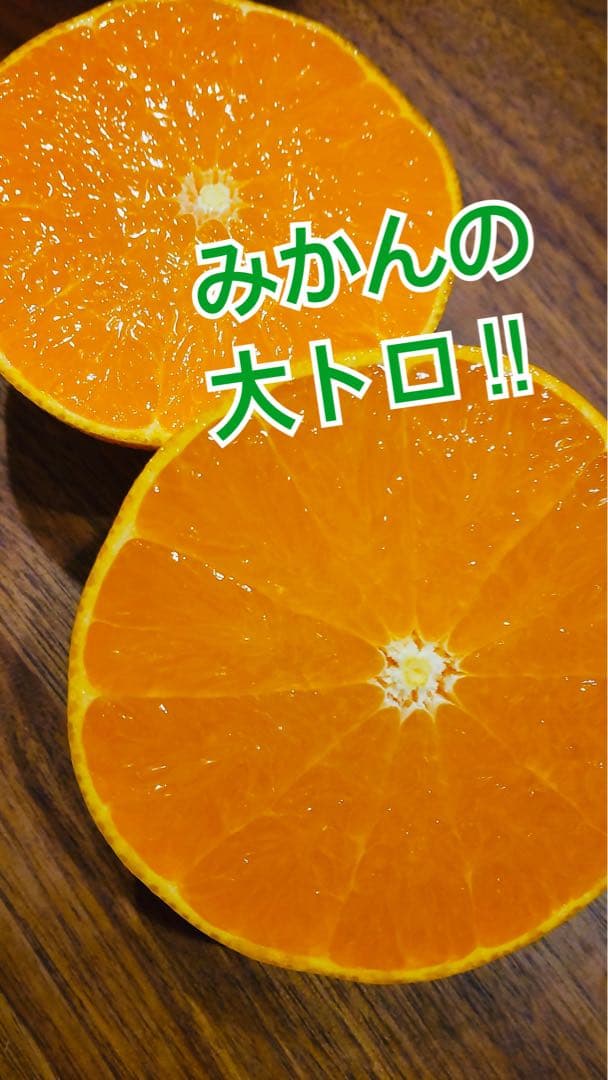 せとか 12玉×2箱セット