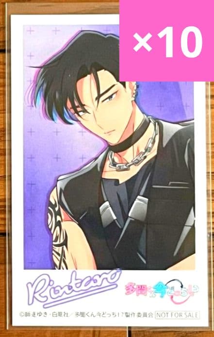 【10枚/甲斐倫太郎】多聞くん今どっち⁉︎　 F/ACE OFF　ミニフォト