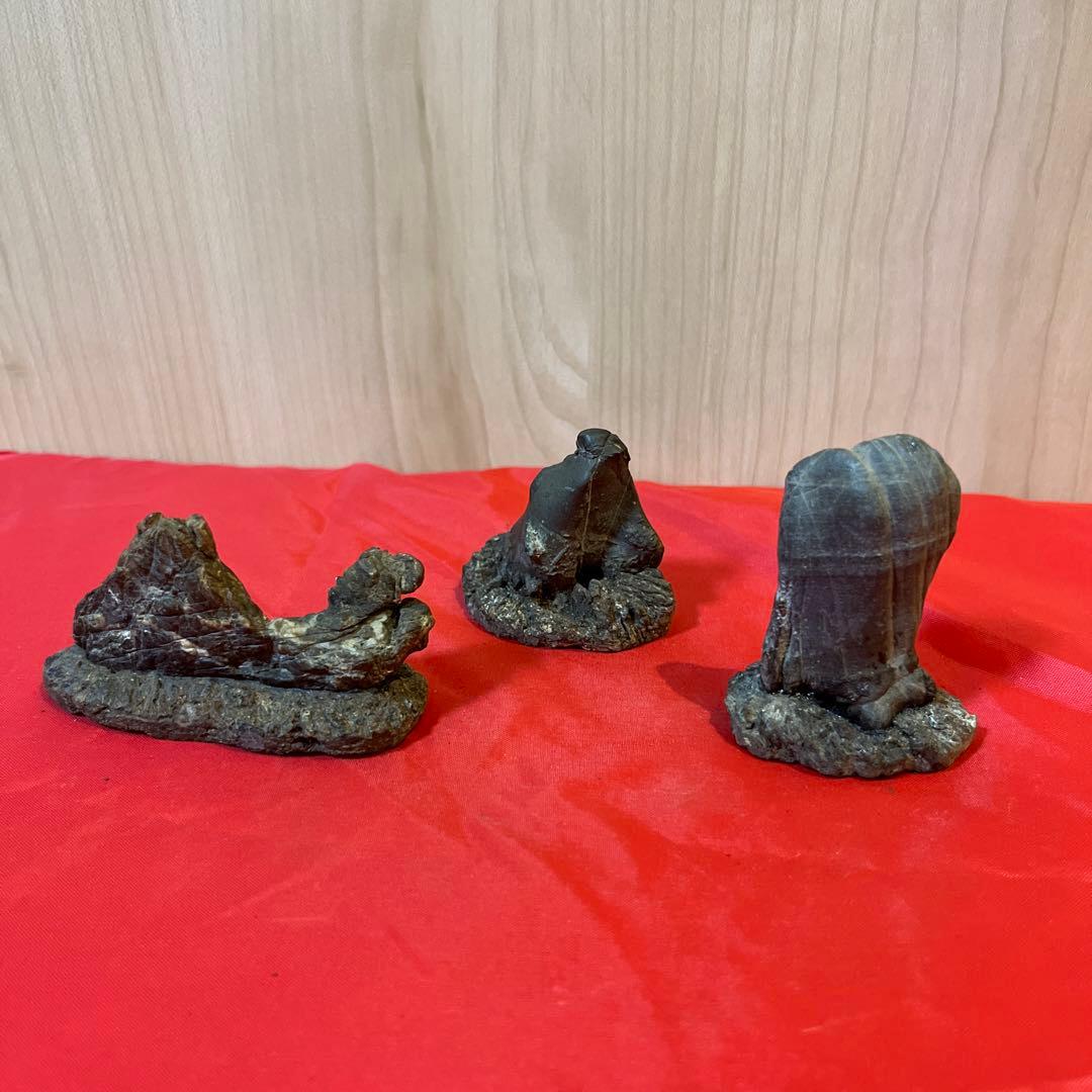 【和歌山古谷石3点セット】自然石 盆石　鑑賞石　置物　天然石