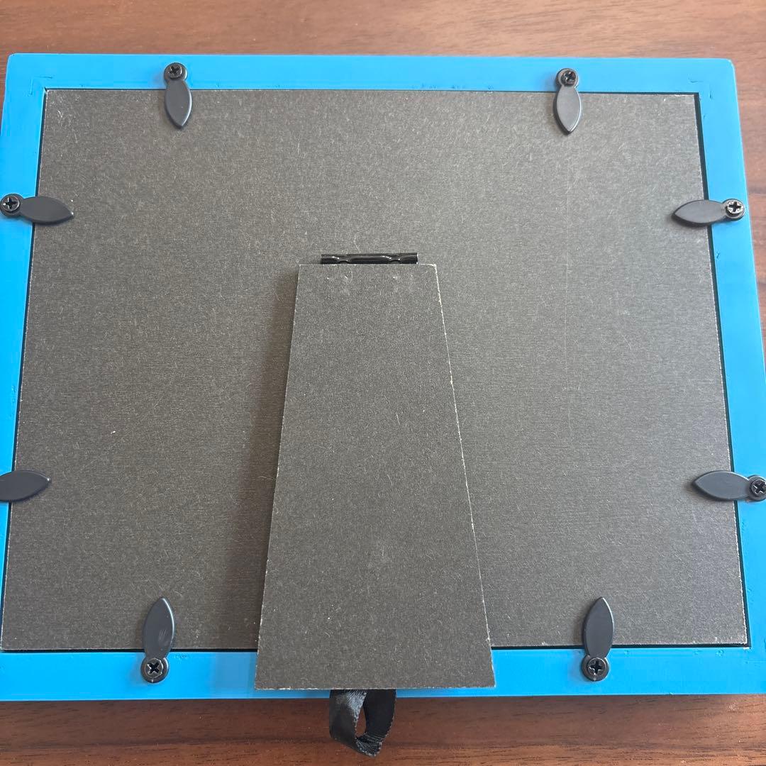 USJ 非売品 ピンバッジセット　フレーム・外箱付き