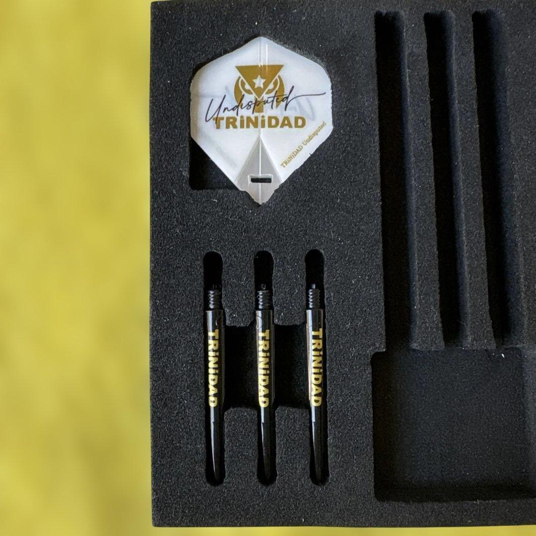 TRINIDAD Undisputed RICARDO ダーツセット。
