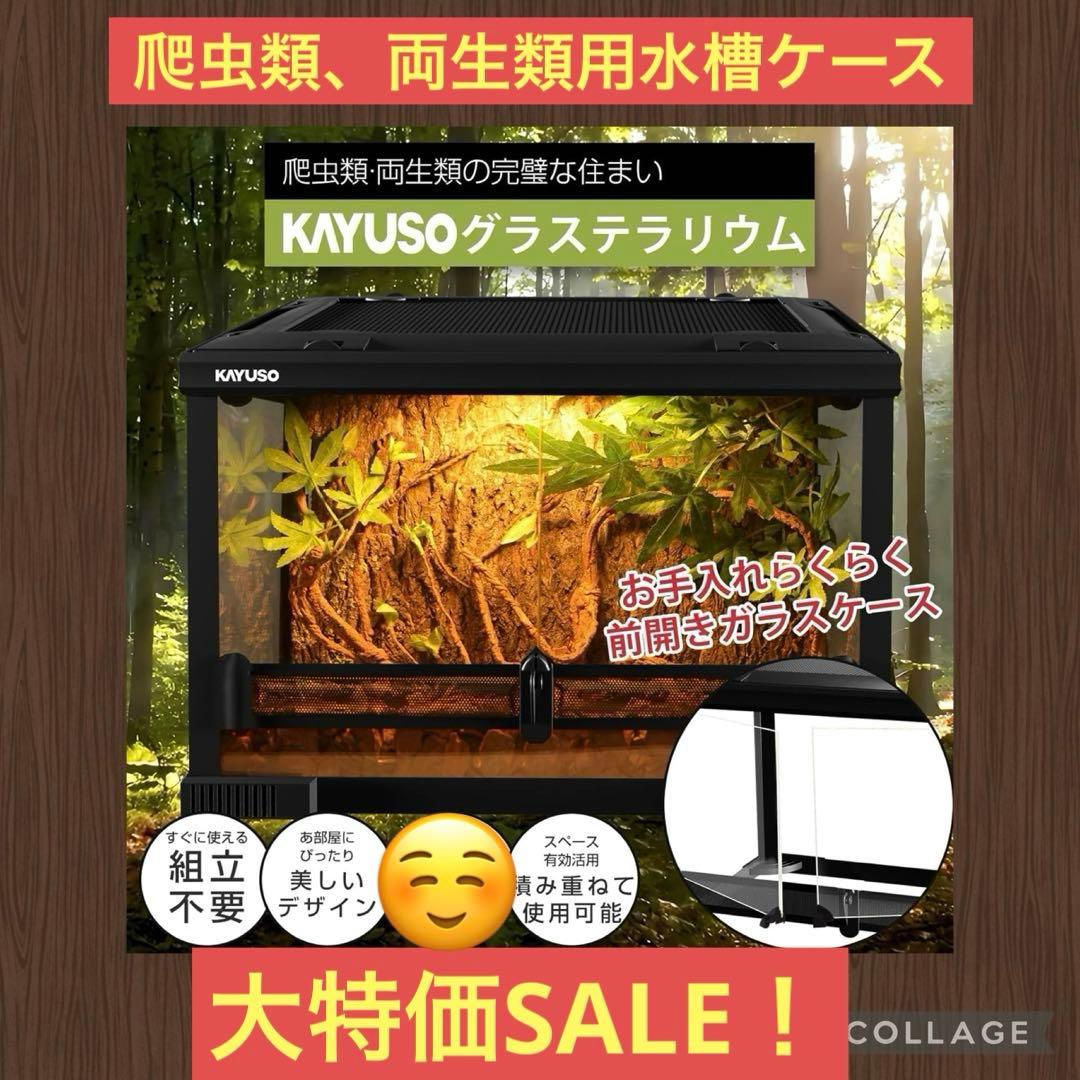 爬虫類 ケージ レオパ ケージ グラステラリウム 両開きガラスケ