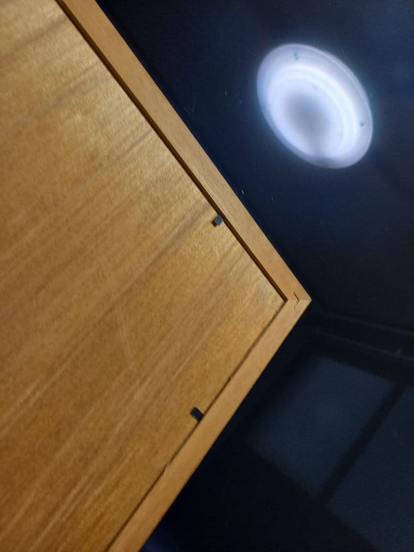 ディズニー 生誕　100周年　記念 1500枚限定　キャンバス　ポスター