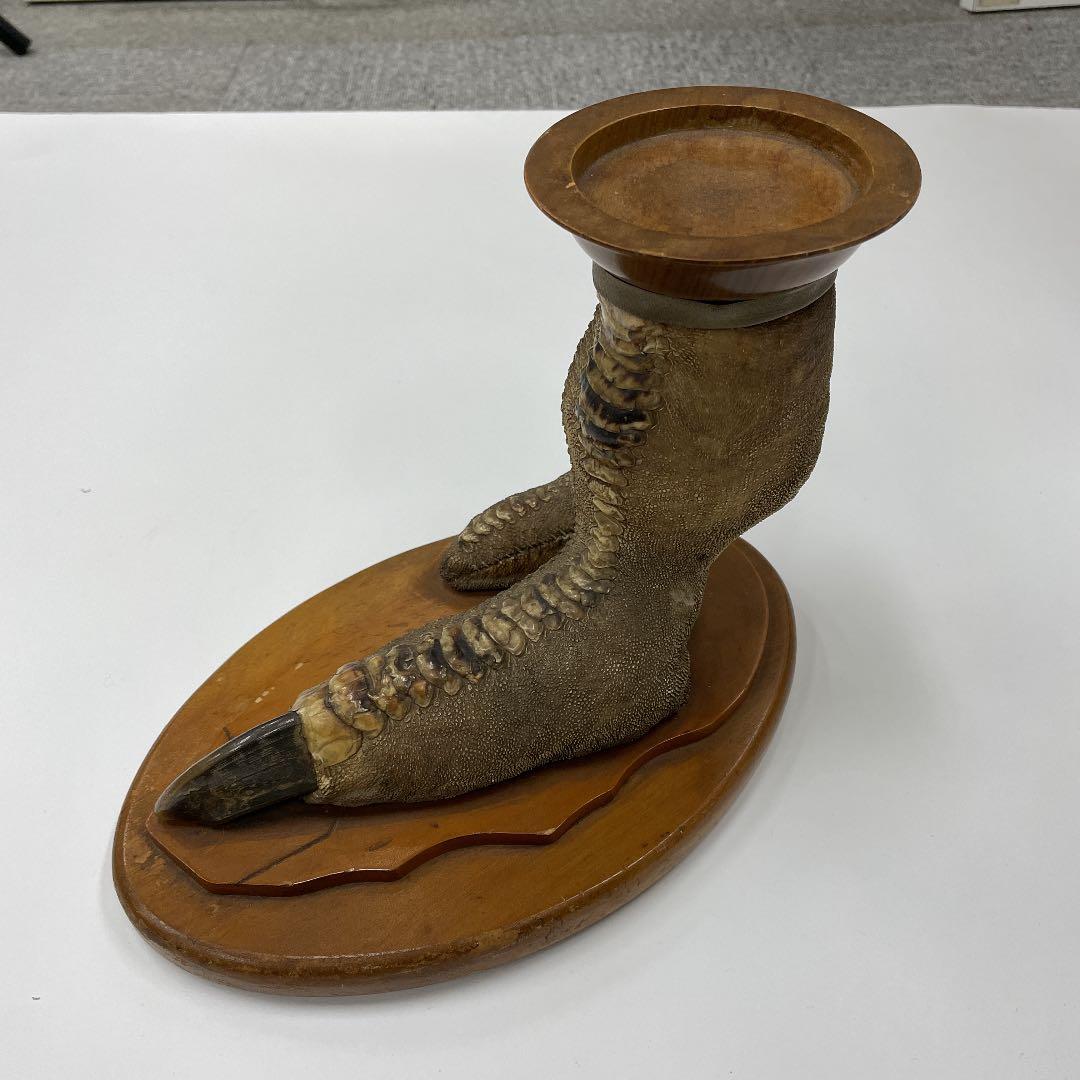 エミューの足の剥製　3連休お値下げ！