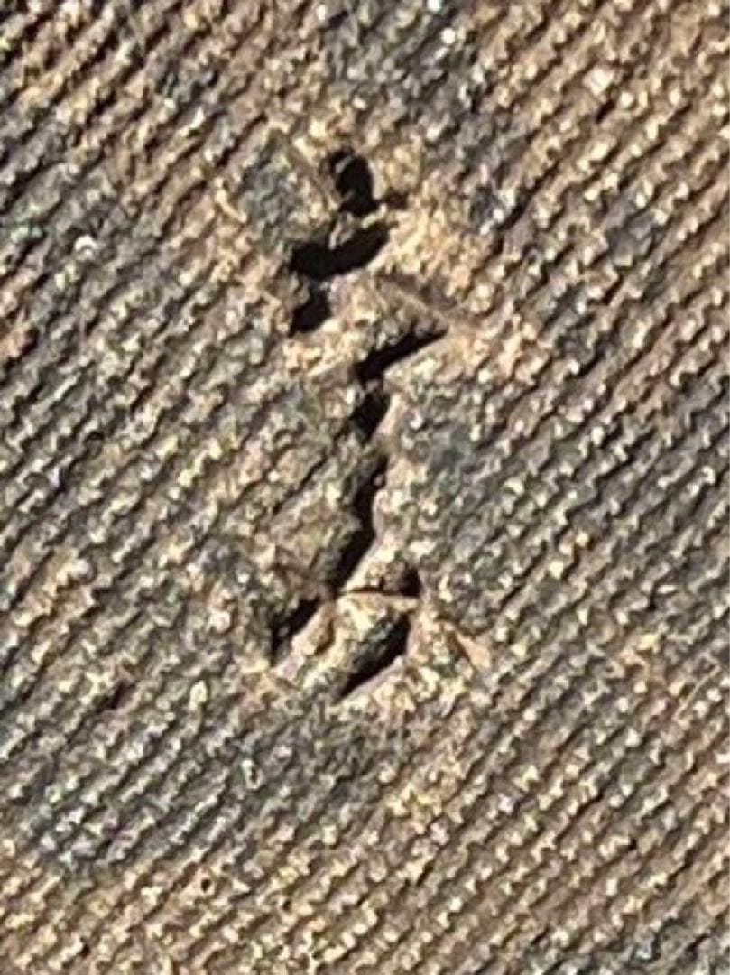 六兵衛 徳利 酒器 陶磁器 黄瀬戸物？インテリア 骨董 アンティーク