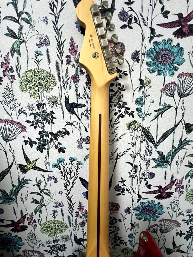 fender hybridⅡ strato caster