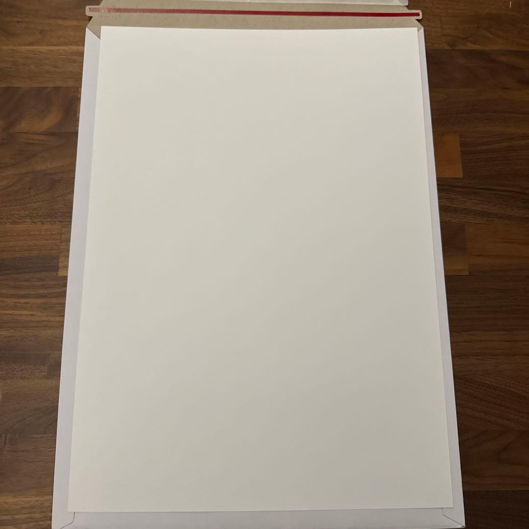 SWCJ 公式浮世絵ポスター ソル カイミール【新品、未使用】