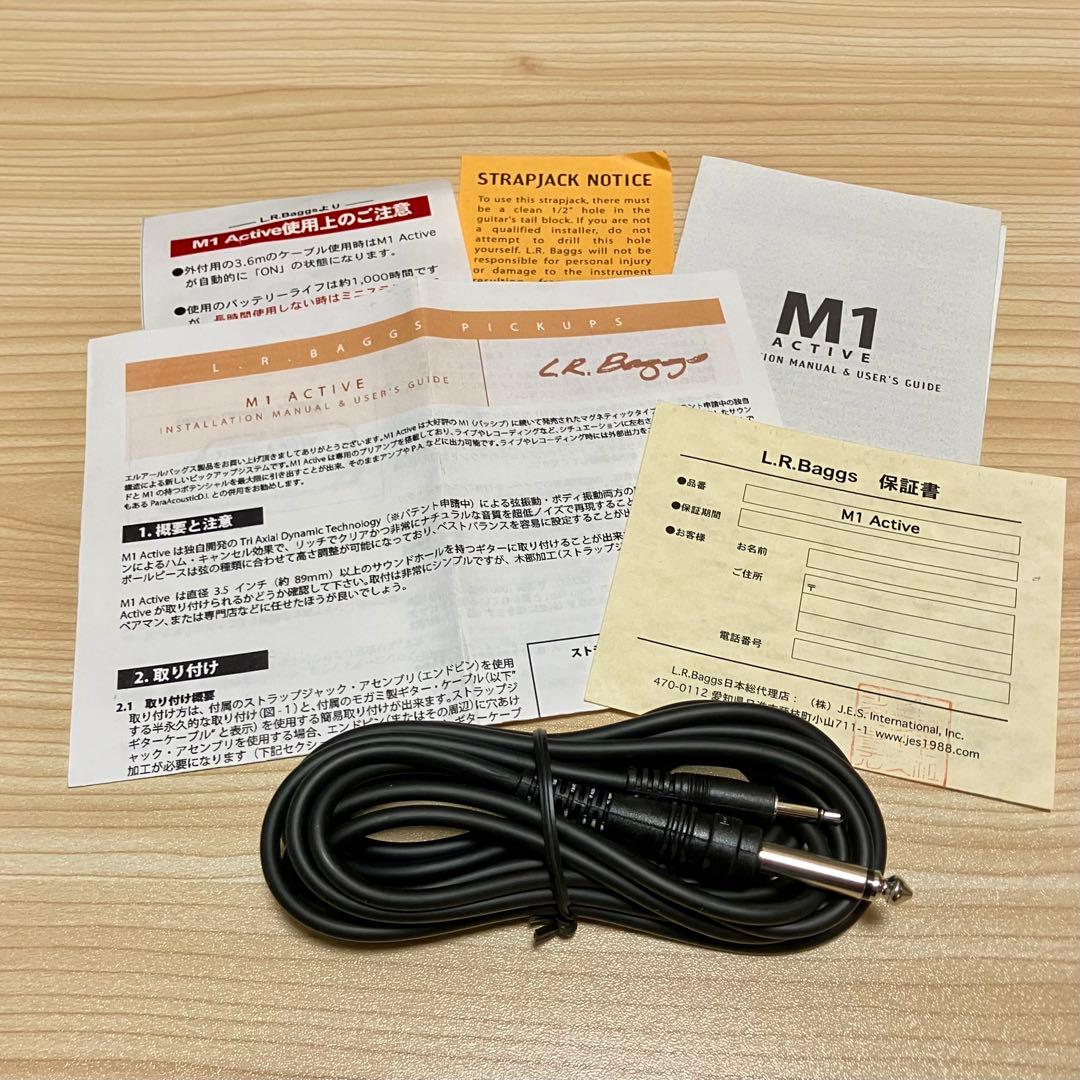 ギター L.R. Baggs M1 Active